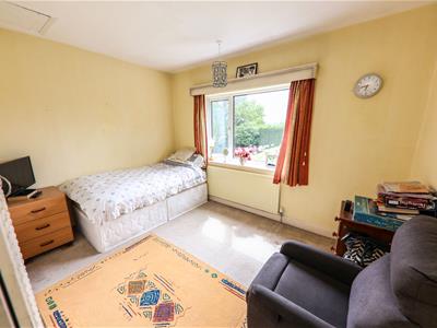 Picture 23